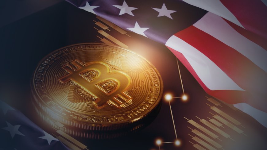 Best Bitcoin Exchanges in the USA for Low Fees and Easy Trading in 2025