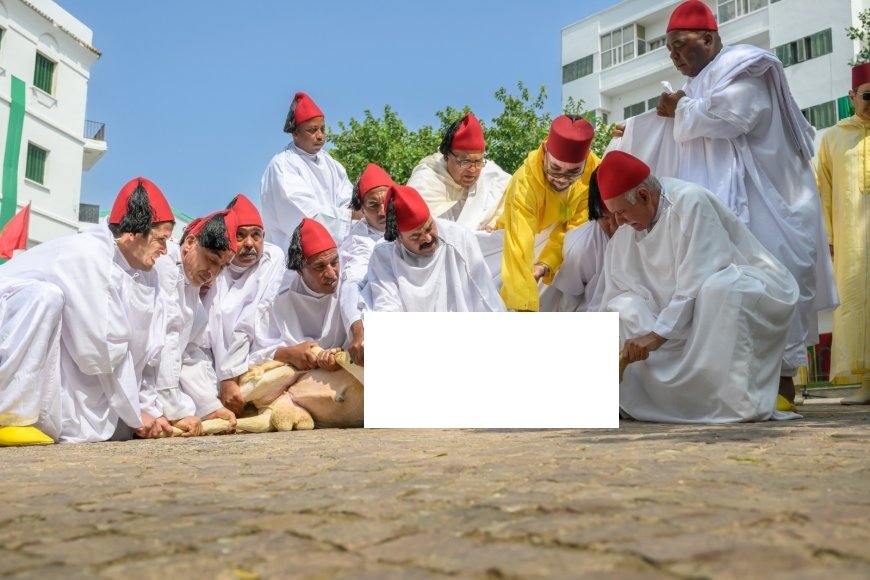 King Mohammed VI Urges Moroccans to Forgo Eid al-Adha Sacrifice This Year Amid Challenges